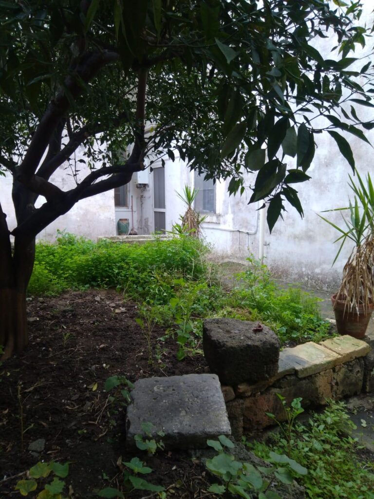 foto Casa studio 73047 GM